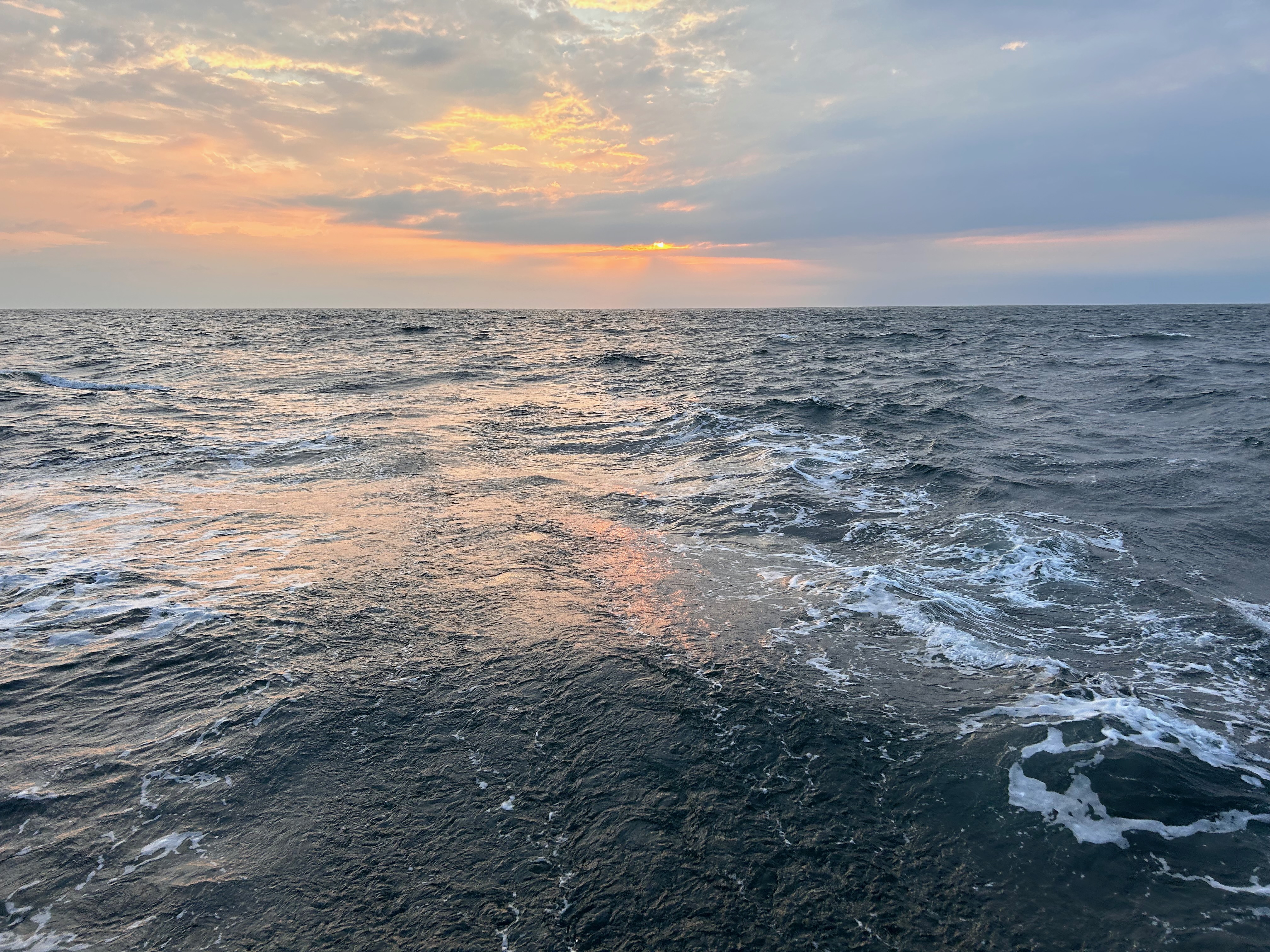 Meer